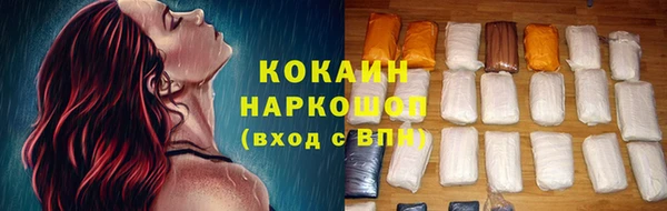 прущие грибы Арсеньев