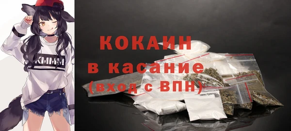 прущие грибы Арсеньев