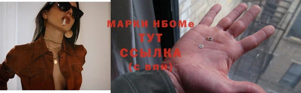 прущие грибы Арсеньев