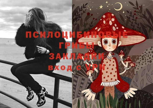 прущая мука Пересвет