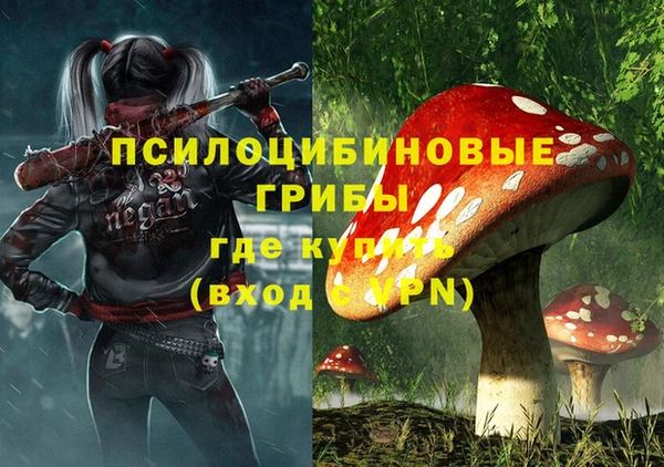 скорость Пестово