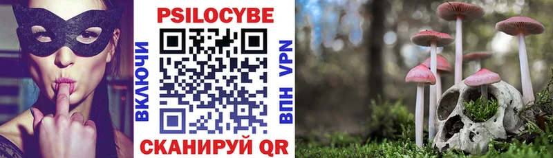Галлюциногенные грибы мицелий  Спасск-Дальний 